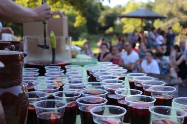 campings/francia/aquitania/landas/Landes Azur/bar-landes-azur.jpg